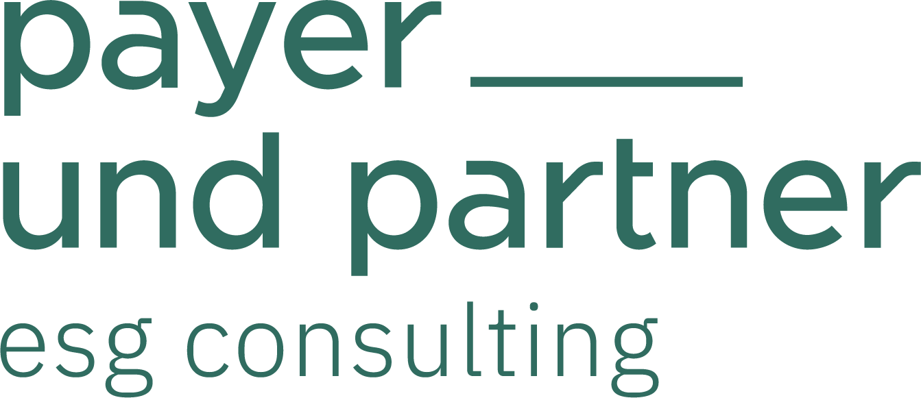 Payer & Partner ESG Consulting